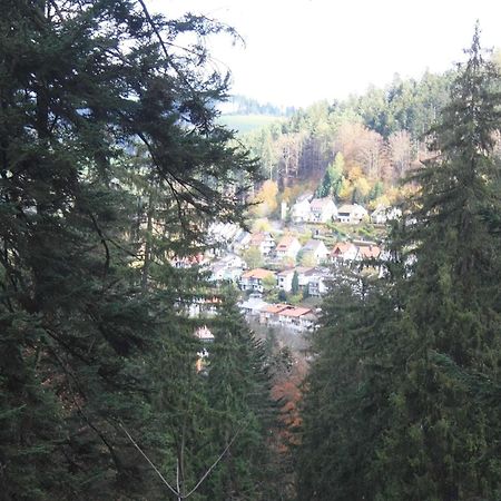 Relaxapartments Black Forest Diamond Direkt An Der Hornberger Freilichtbuehne - Sonnenterrasse Mit Blick Auf Das Hornberger Schloss, Schnelles Internet, Fuer Bis Zu 2 Personen エクステリア 写真