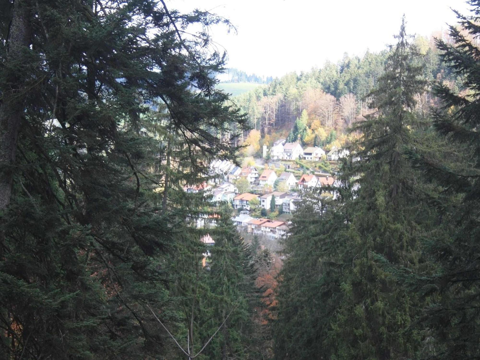 Relaxapartments Black Forest Diamond Direkt An Der Hornberger Freilichtbuehne - Sonnenterrasse Mit Blick Auf Das Hornberger Schloss, Schnelles Internet, Fuer Bis Zu 2 Personen エクステリア 写真