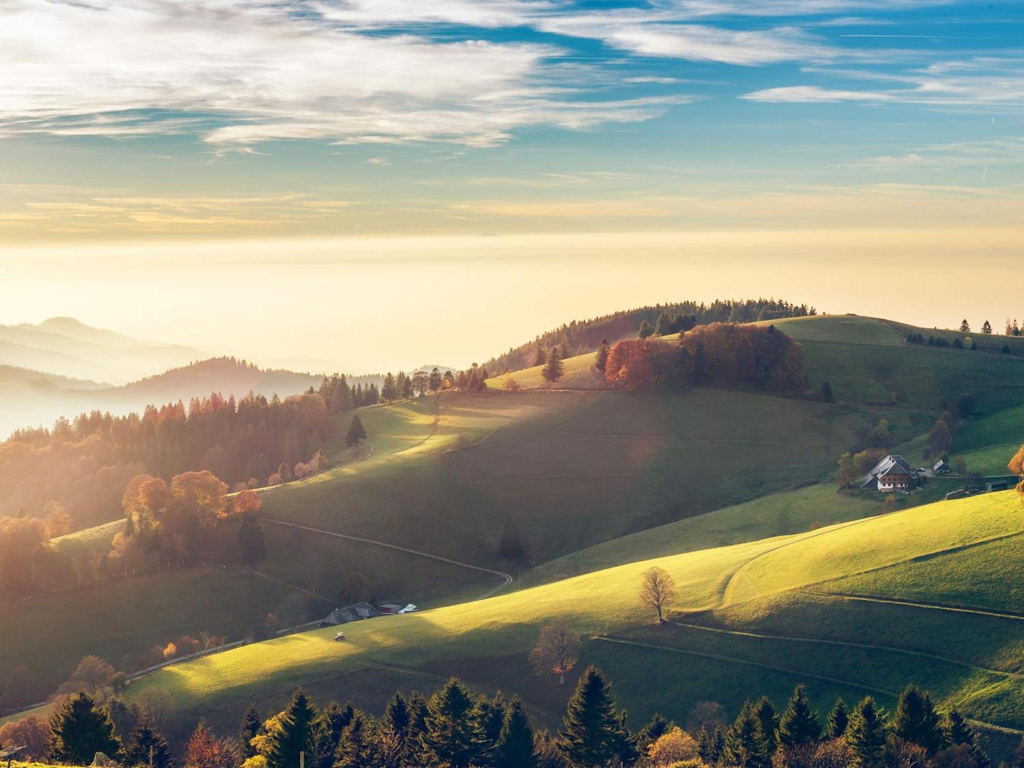 Relaxapartments Black Forest Diamond Direkt An Der Hornberger Freilichtbuehne - Sonnenterrasse Mit Blick Auf Das Hornberger Schloss, Schnelles Internet, Fuer Bis Zu 2 Personen エクステリア 写真