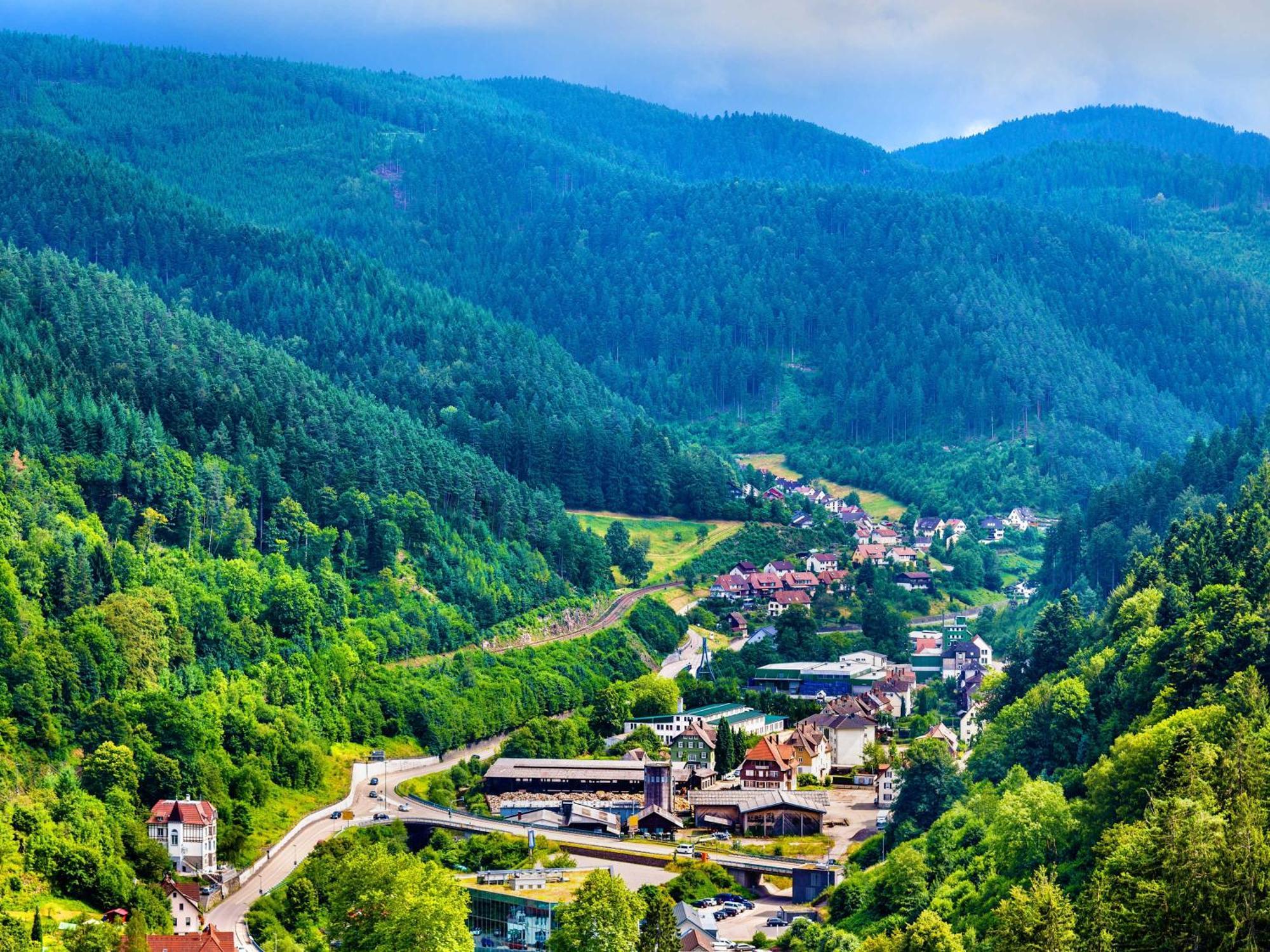 Relaxapartments Black Forest Diamond Direkt An Der Hornberger Freilichtbuehne - Sonnenterrasse Mit Blick Auf Das Hornberger Schloss, Schnelles Internet, Fuer Bis Zu 2 Personen エクステリア 写真