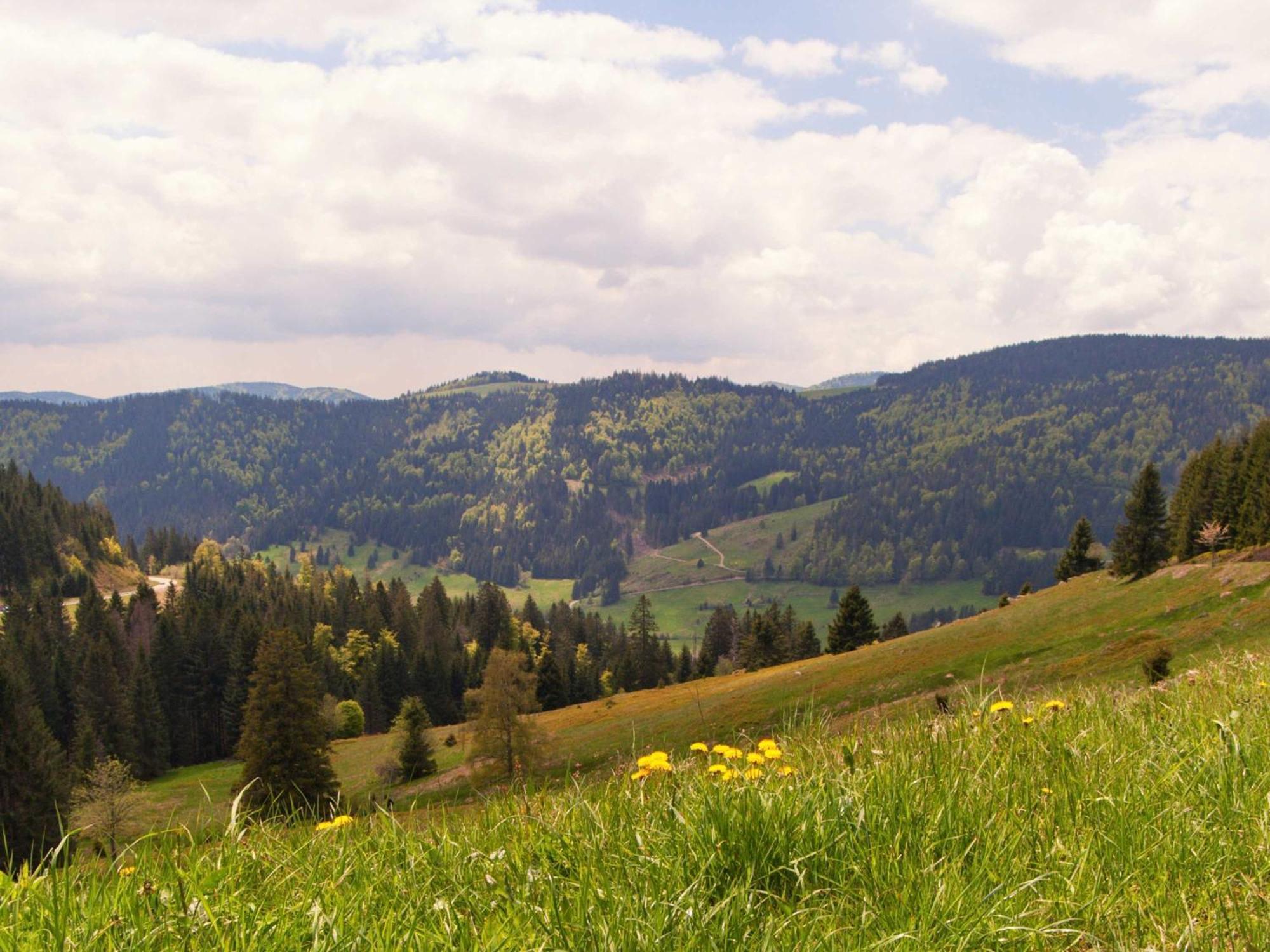 Relaxapartments Black Forest Diamond Direkt An Der Hornberger Freilichtbuehne - Sonnenterrasse Mit Blick Auf Das Hornberger Schloss, Schnelles Internet, Fuer Bis Zu 2 Personen エクステリア 写真